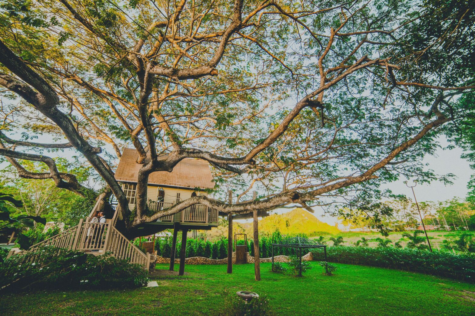 Bold Bologna Live forme 26sett25